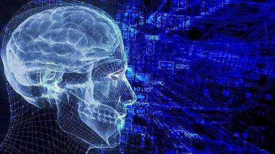 關(guān)于“數(shù)字中國”，你想