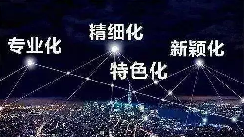 2019年度江蘇省省級專精特新小巨人企業(yè)擬認(rèn)定名單公示