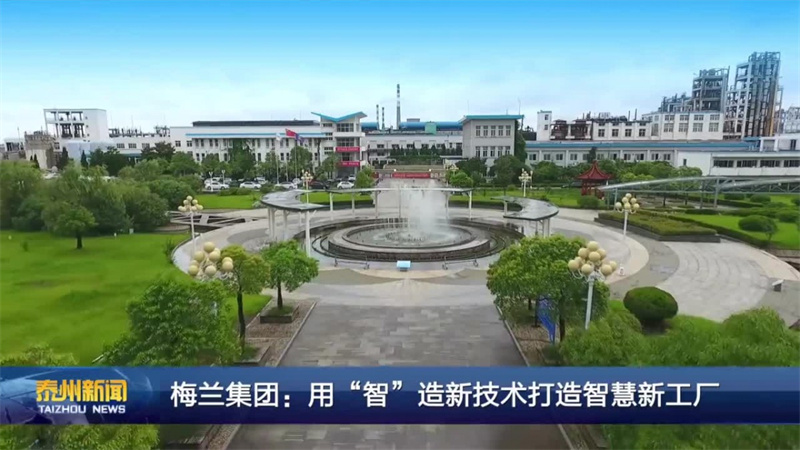 梅蘭集團