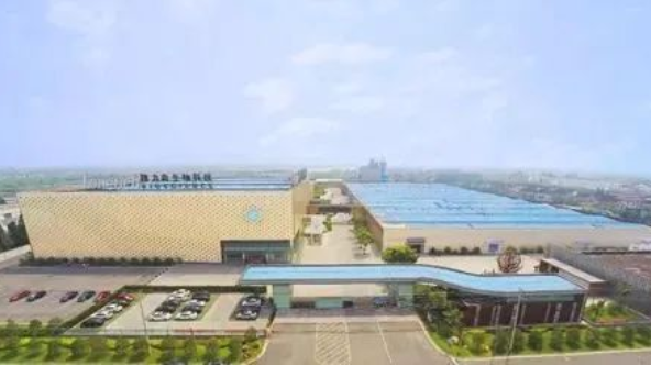 隆力奇：提振國貨品牌自信 踐行民族企業(yè)擔當