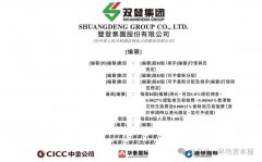 雙登股份通過港交所上市聆訊，將成AIDC配套儲能第一股